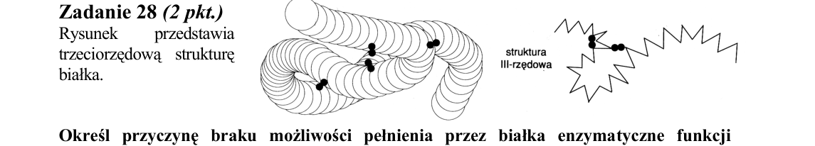 Rycina do zadania 28