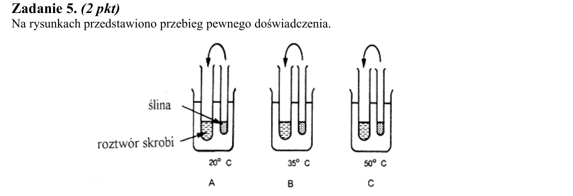 Rycina do zadania 5