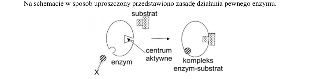 Rycina do zadania 12