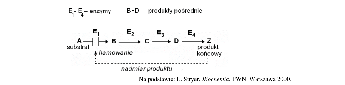 Rycina do zadania 7