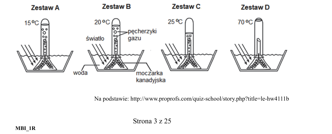 Rycina do zadania 3.1