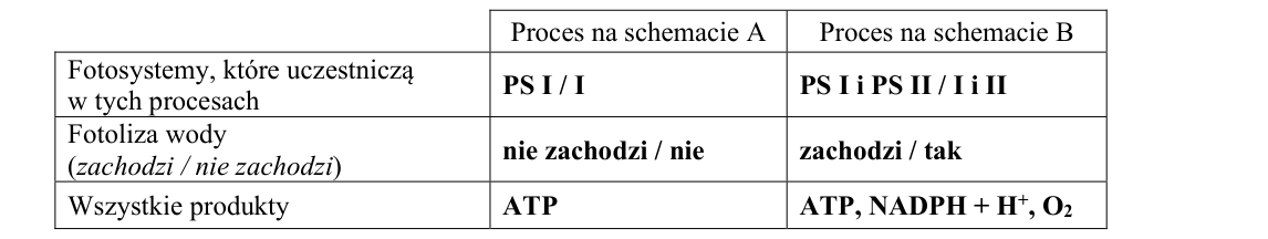 Rycina do rozwiązania zadania 2.1
