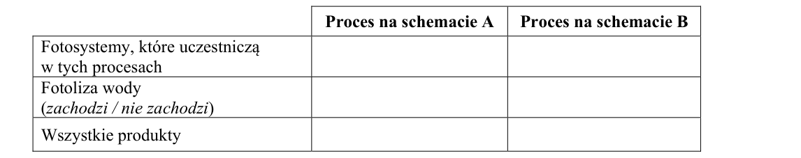 Rycina do zadania 2.1