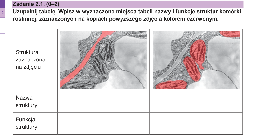 Rycina do zadania 2.1