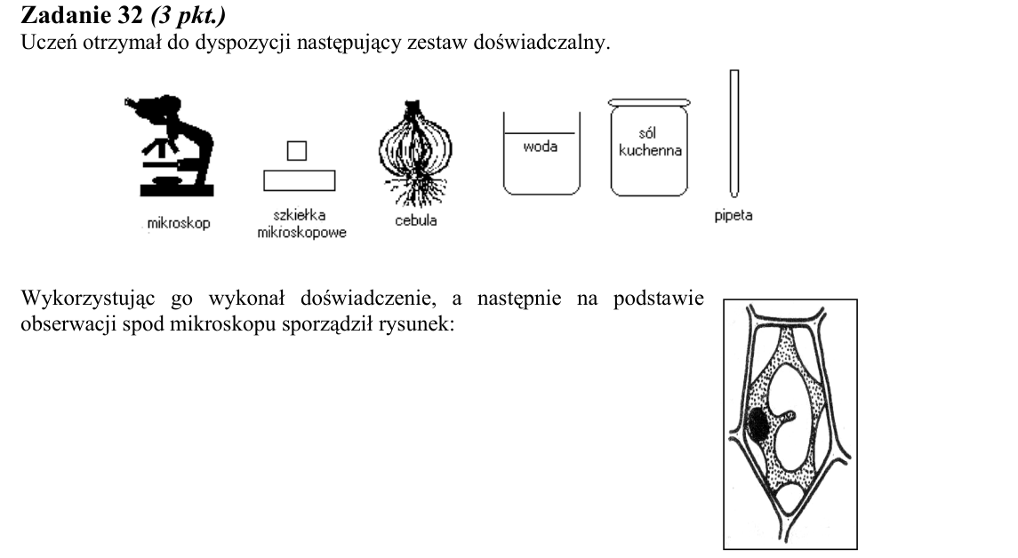 Rycina do zadania 32