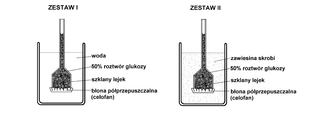 Rycina do zadania 5