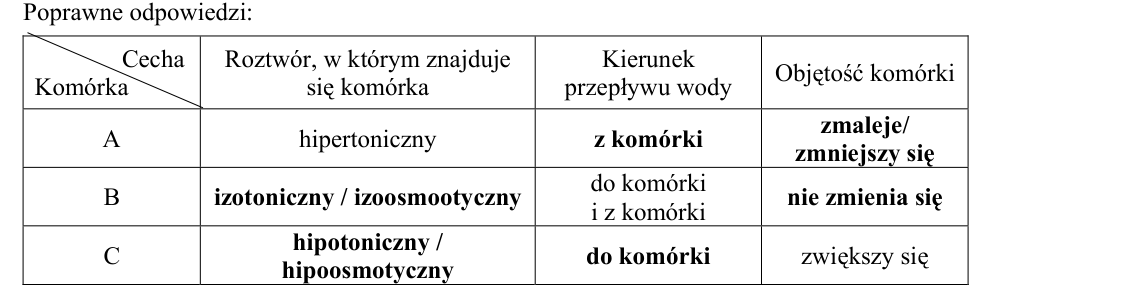 Rycina do rozwiązania zadania 5