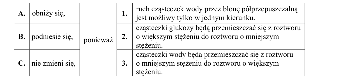 Rycina do zadania 1.2