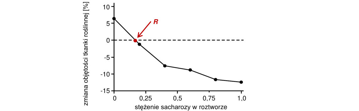 Rycina do zadania 11.2