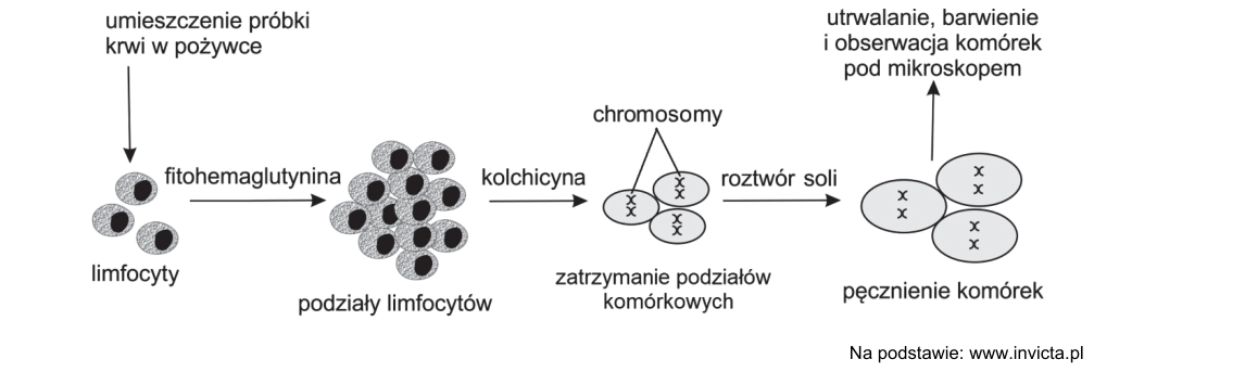 Rycina do zadania 16.1