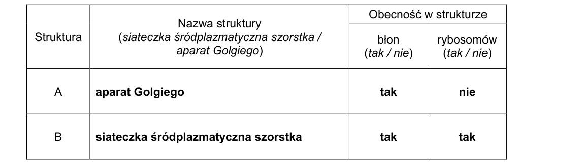 Rycina do rozwiązania zadania 3.1