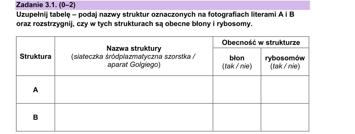 Rycina do zadania 3.1
