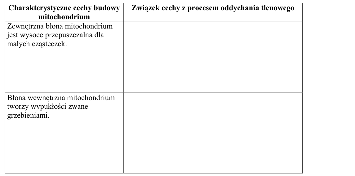 Rycina do zadania 32