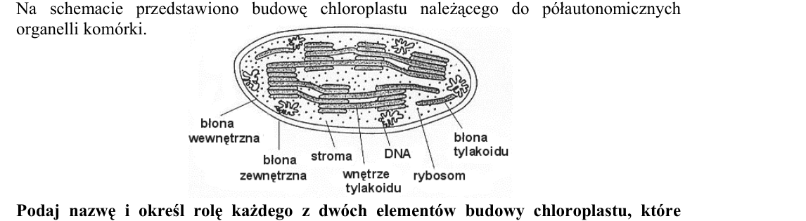 Rycina do zadania 7