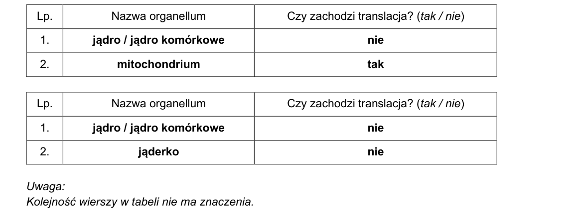 Rycina do rozwiązania zadania 16.2