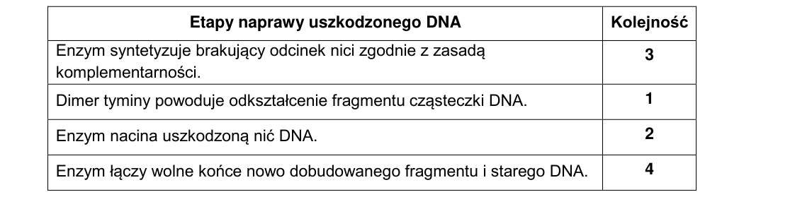 Rycina do rozwiązania zadania 19.1