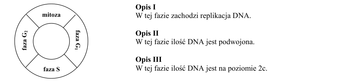 Rycina do zadania 30