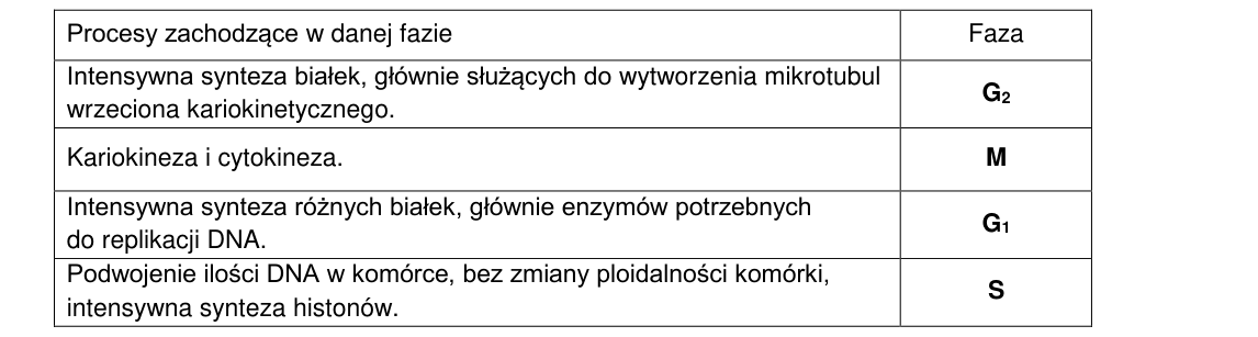 Rycina do rozwiązania zadania 17.1