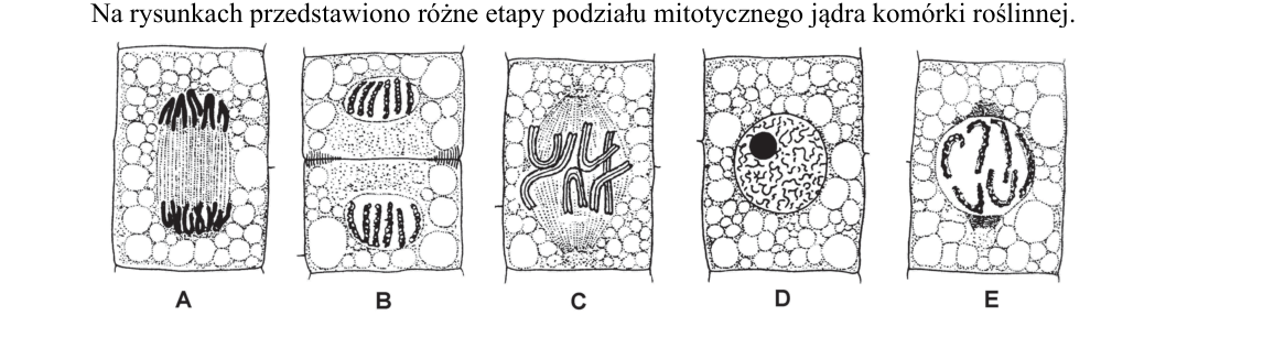 Rycina do zadania 6