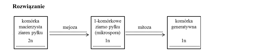 Rycina do rozwiązania zadania 8.2
