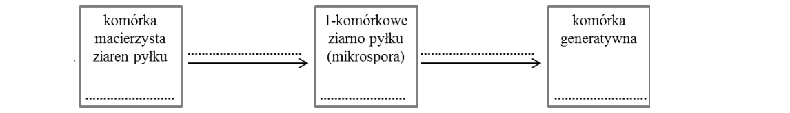 Rycina do zadania 8.2