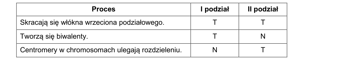 Rycina do rozwiązania zadania 3.2