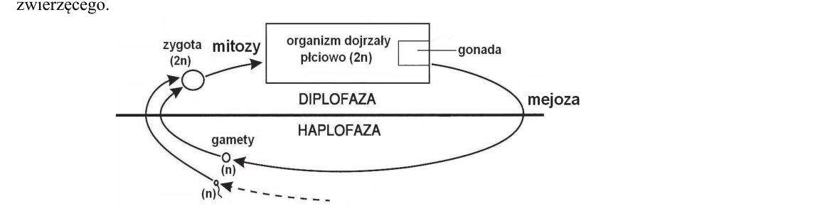 Rycina do zadania 7