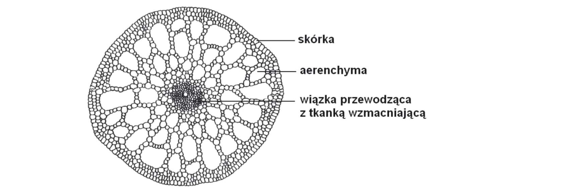 Rycina do zadania 22