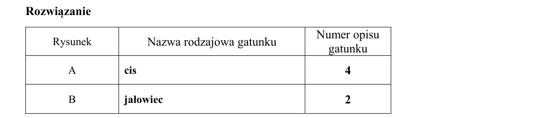 Rycina do rozwiązania zadania 7