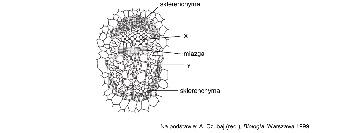 Rycina do zadania 4.2