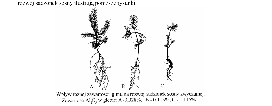 Rycina do zadania 34