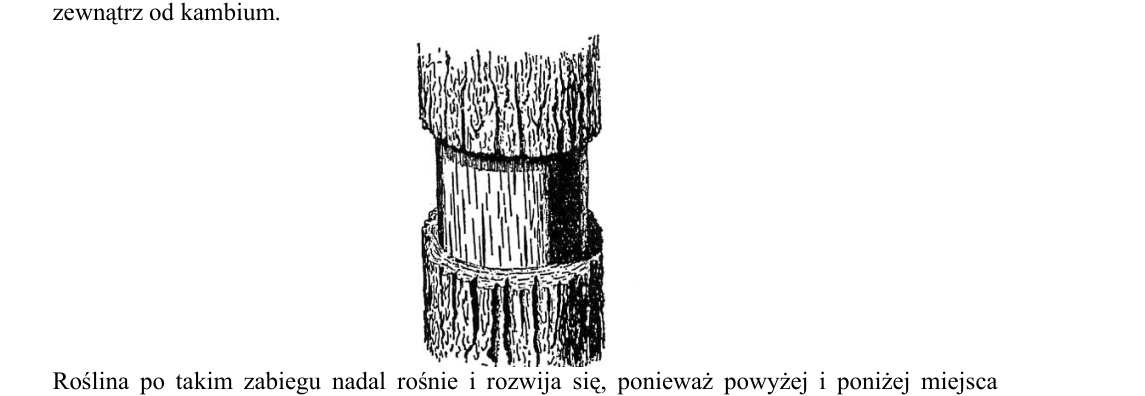 Rycina do zadania 31