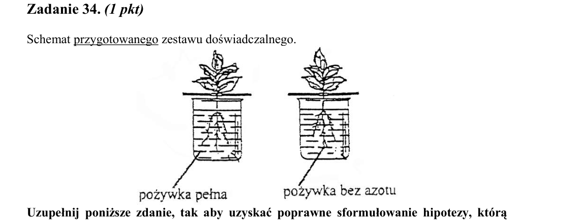 Rycina do zadania 34