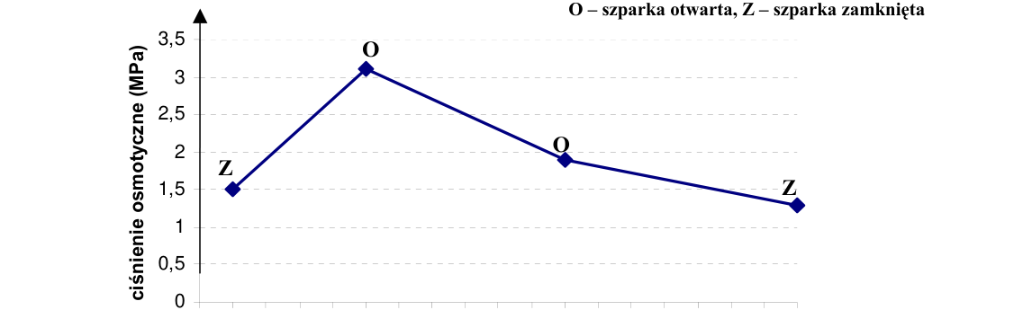 Rycina do zadania 19