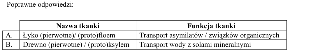 Rycina do rozwiązania zadania 18