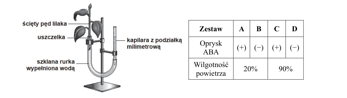Rycina do zadania 5.2