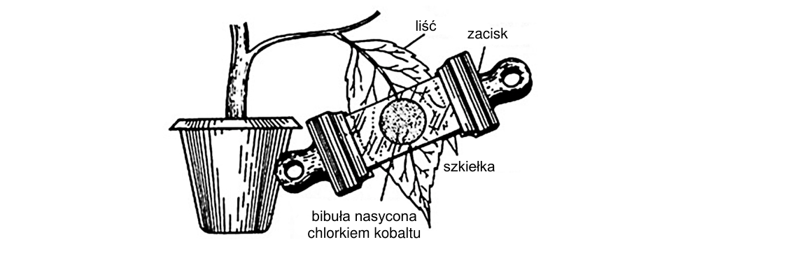 Rycina do zadania 6.2