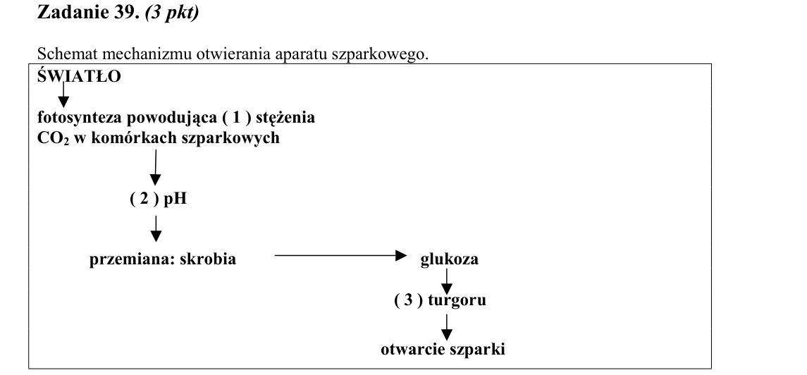 Rycina do zadania 39