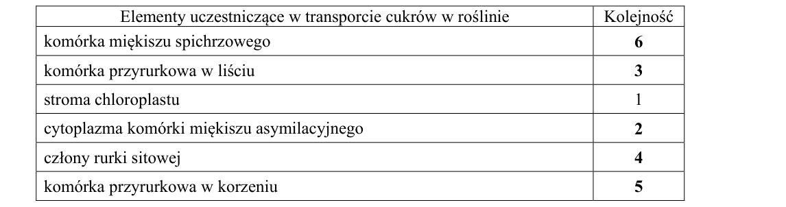 Rycina do rozwiązania zadania 6.1