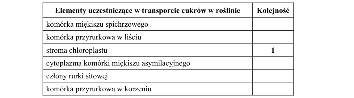 Rycina do zadania 6.1