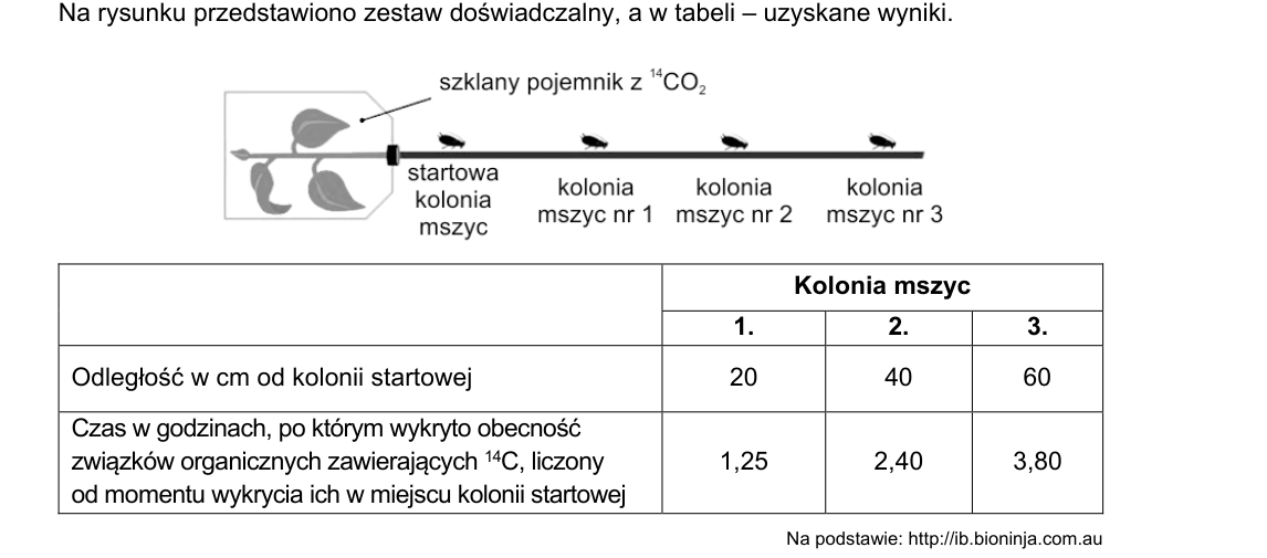Rycina do zadania 9.2