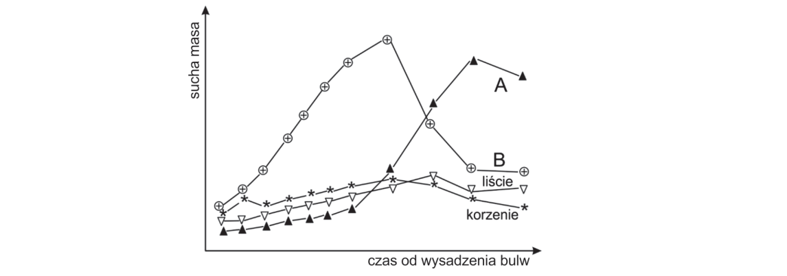 Rycina do zadania 7.2