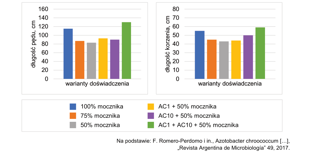 Rycina do zadania 6.2