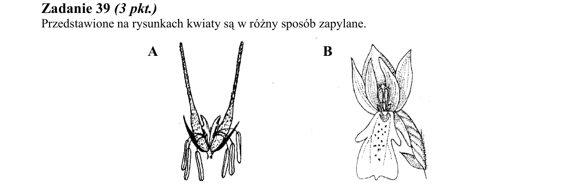 Rycina do zadania 39