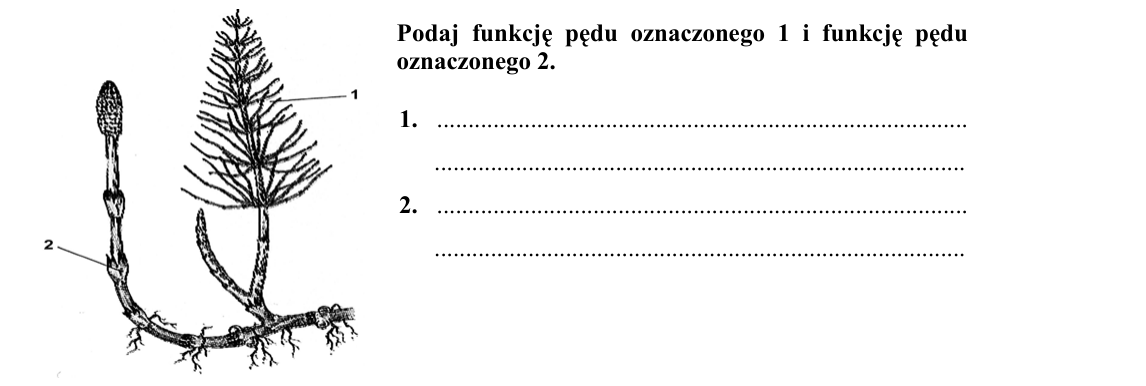 Rycina do zadania 14