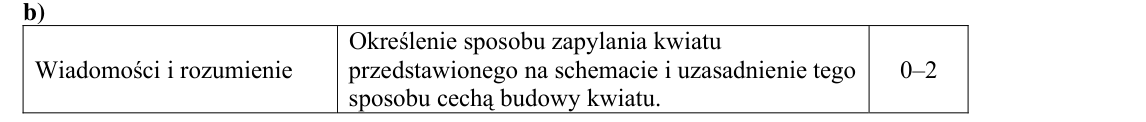 Rycina do rozwiązania zadania 10