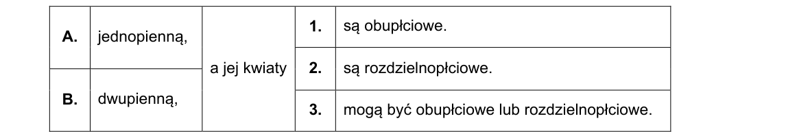 Rycina do zadania 7.1