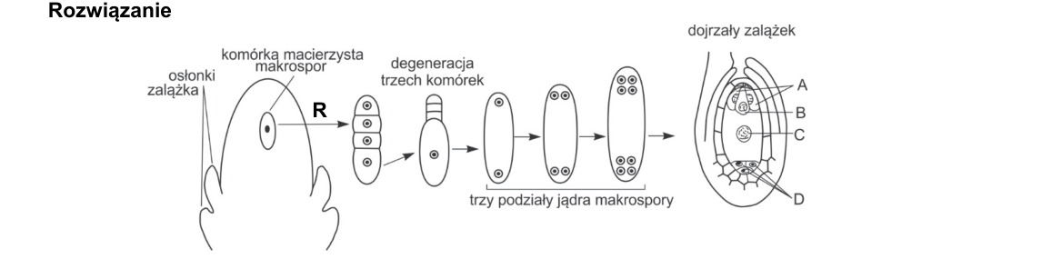 Rycina do rozwiązania zadania 6.1