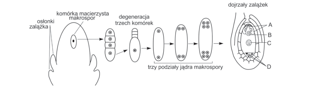Rycina do zadania 6.1
