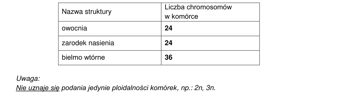 Rycina do rozwiązania zadania 3.2